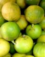 bergamote